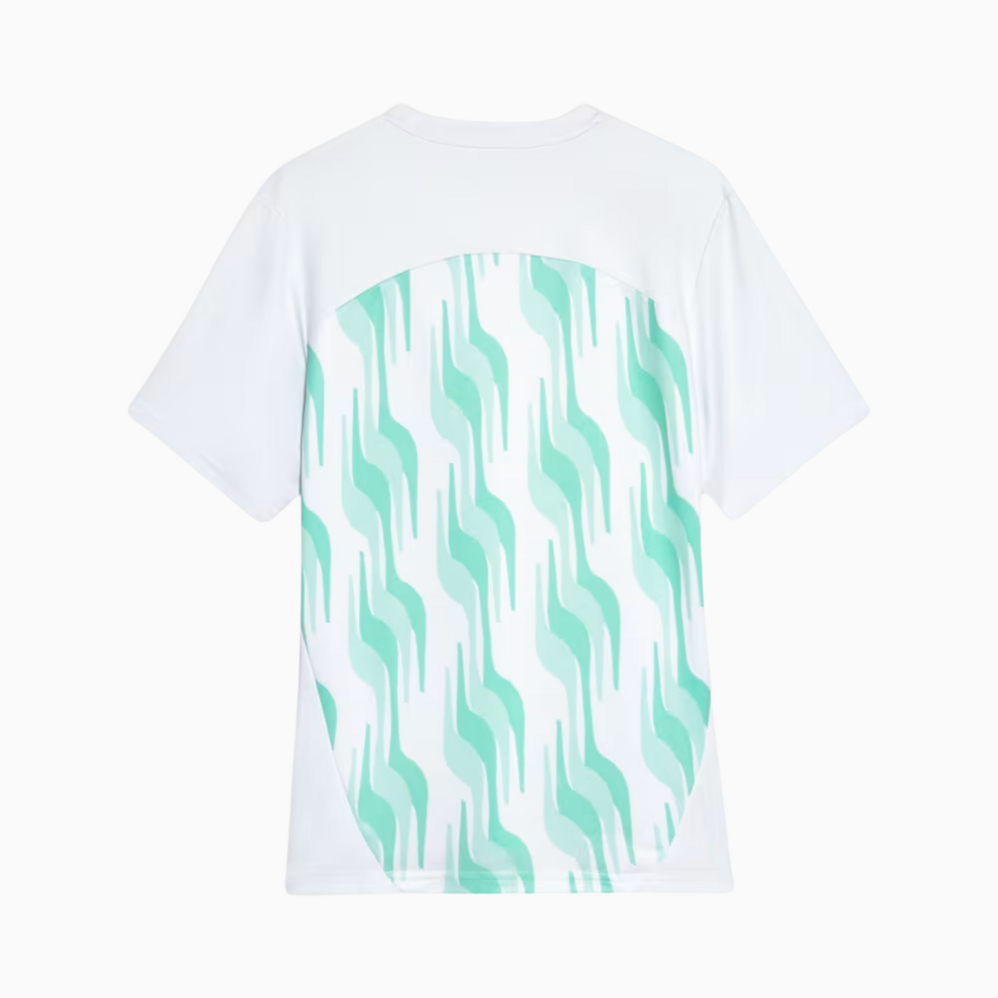Jersey Puma Palmeiras 2025/26 Pré-Jogo