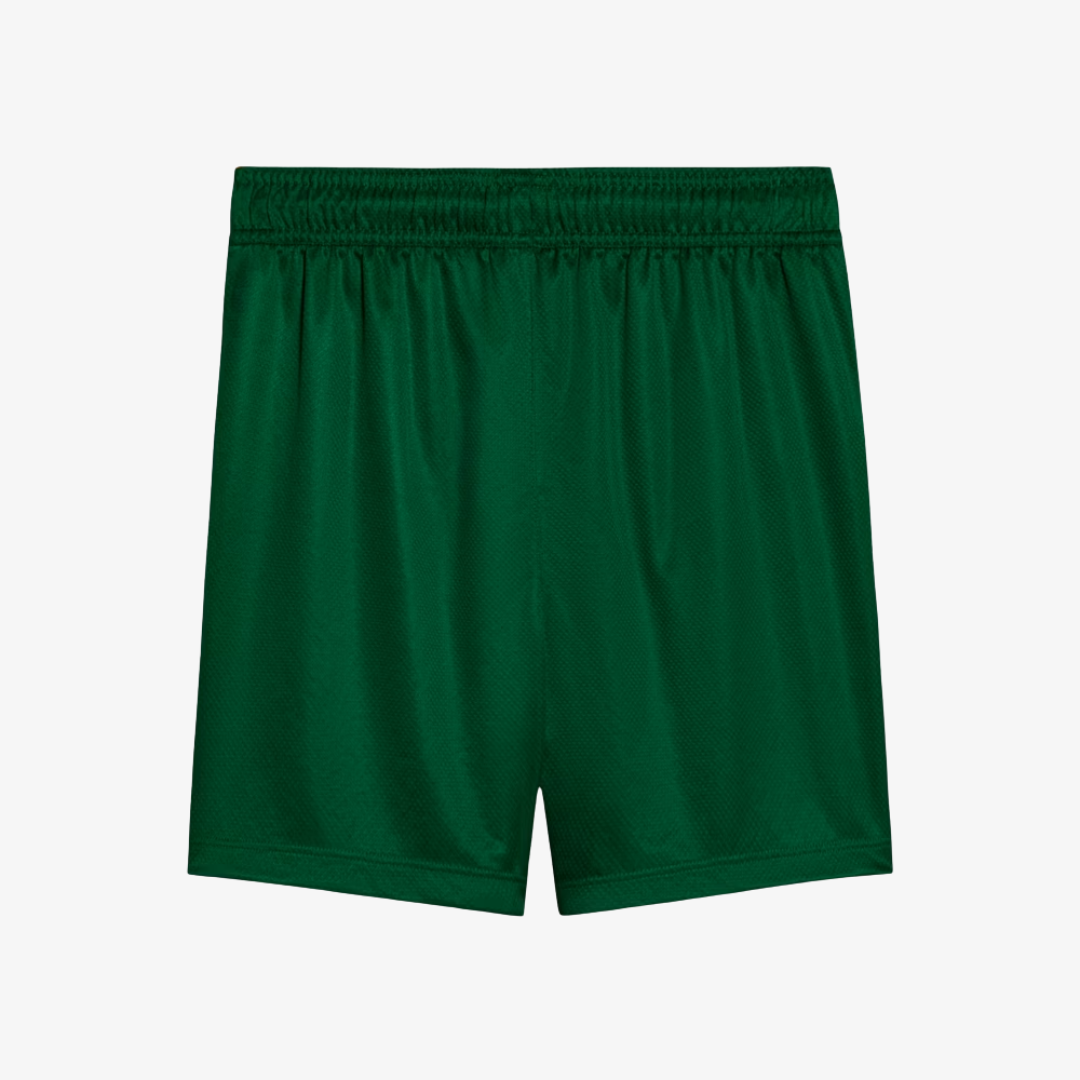 Kids Kit Puma Palmeiras 2025/26 II