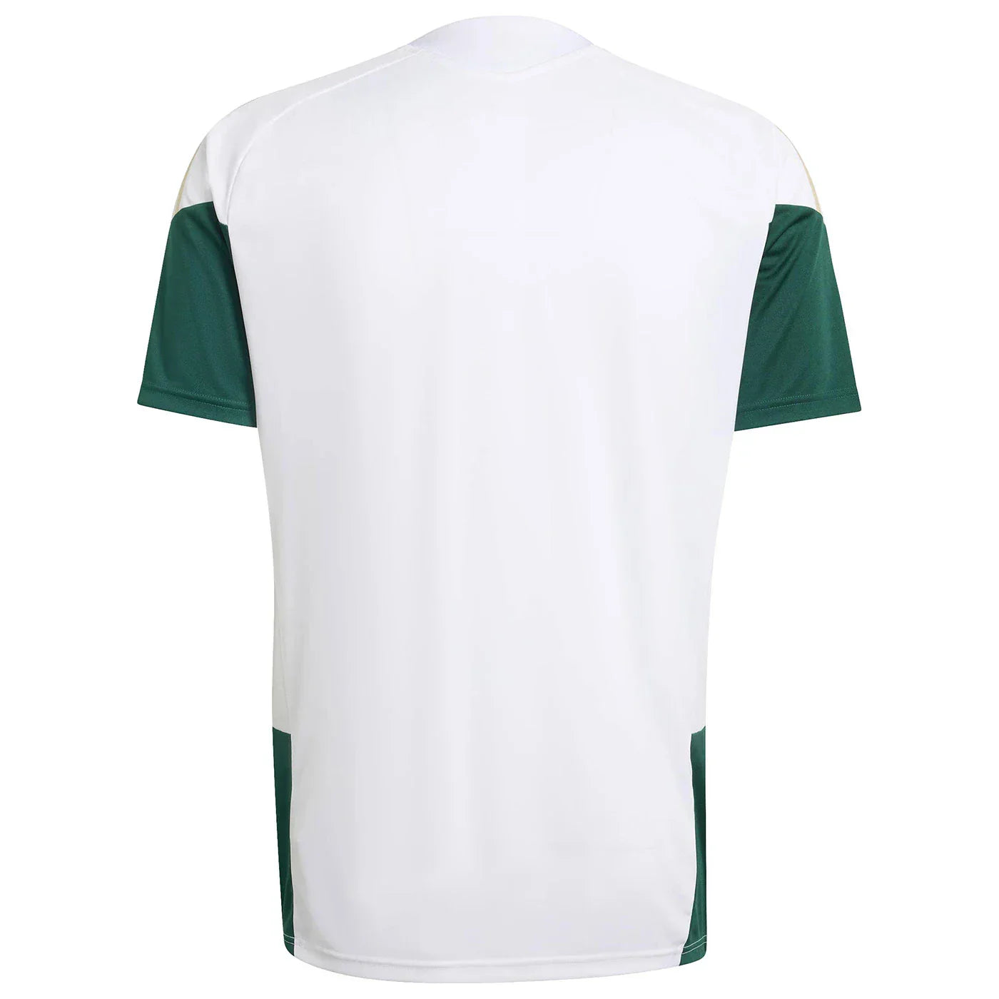 Jersey Itália 2026 Training World Cup
