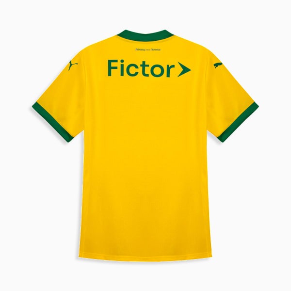 Jersey Woman Puma Palmeiras 2025/26 III Fan