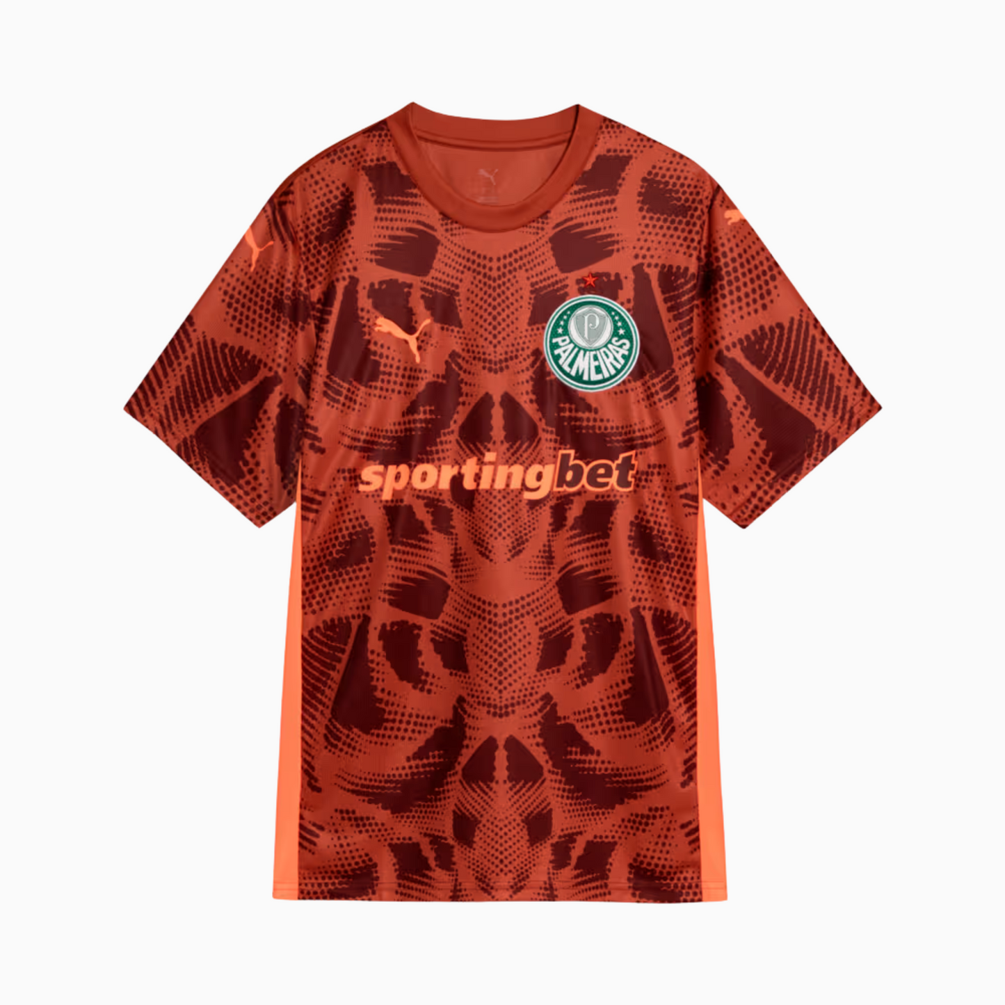 Jersey Puma Palmeiras 2025/26 Goalkeeper II