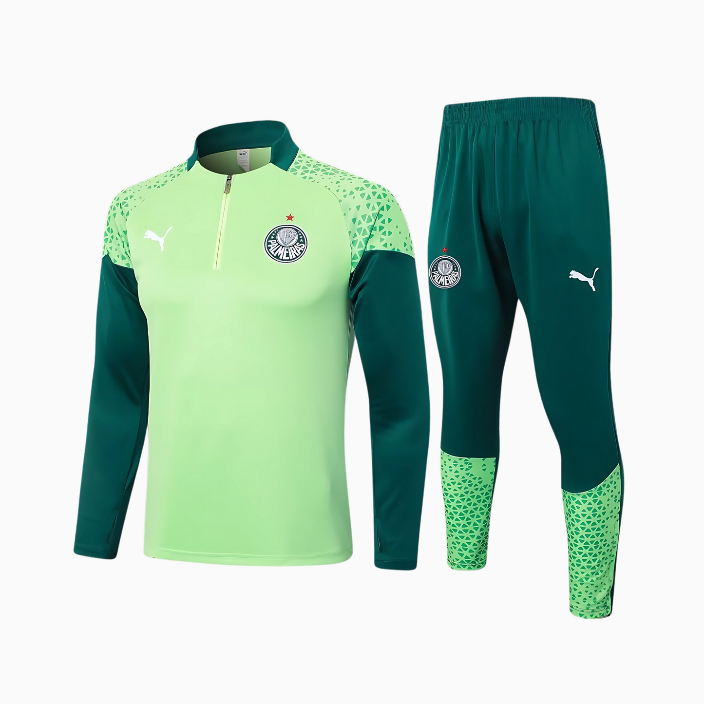 Set de Training Puma Palmeiras 2024/25 II Man