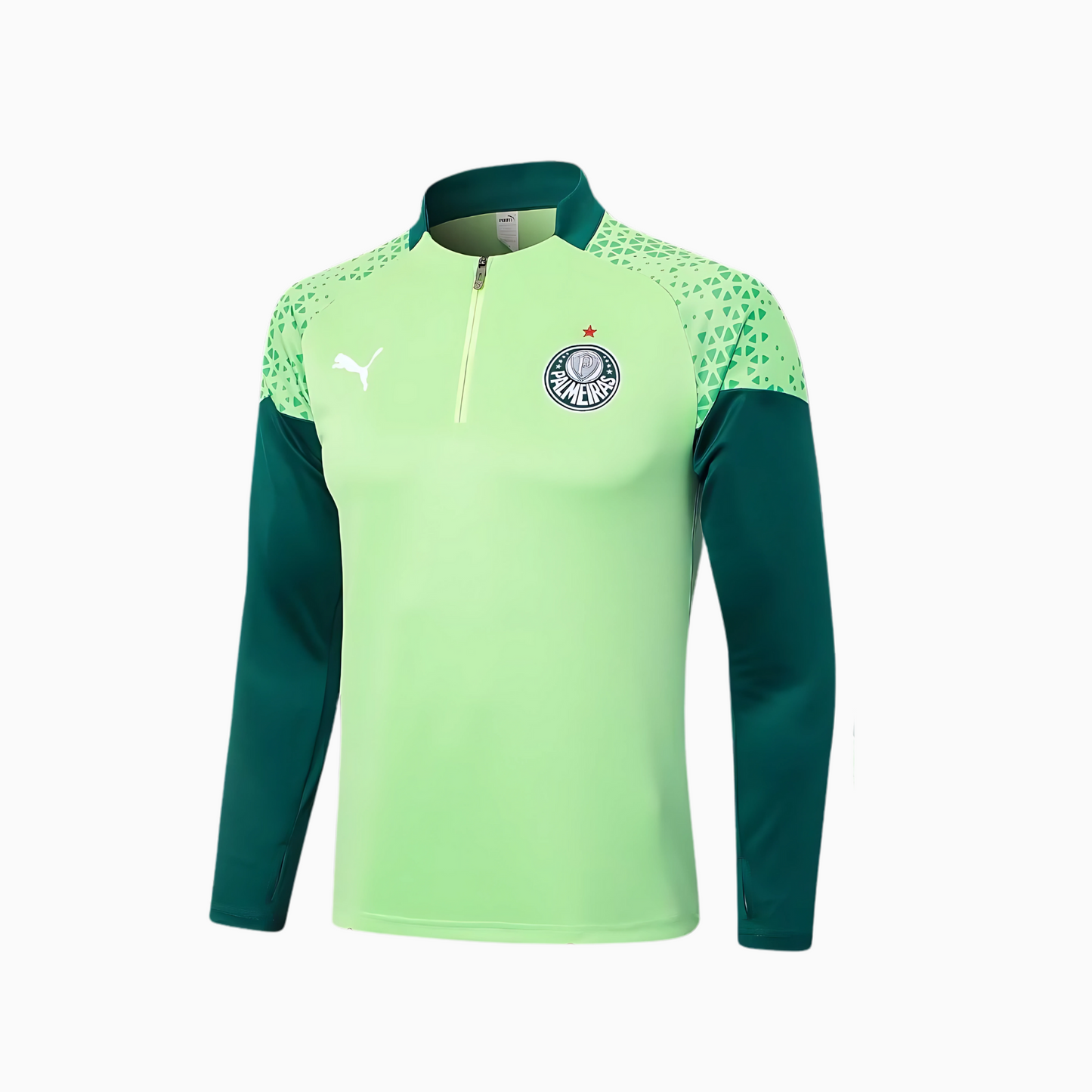 Set de Training Puma Palmeiras 2024/25 II Man