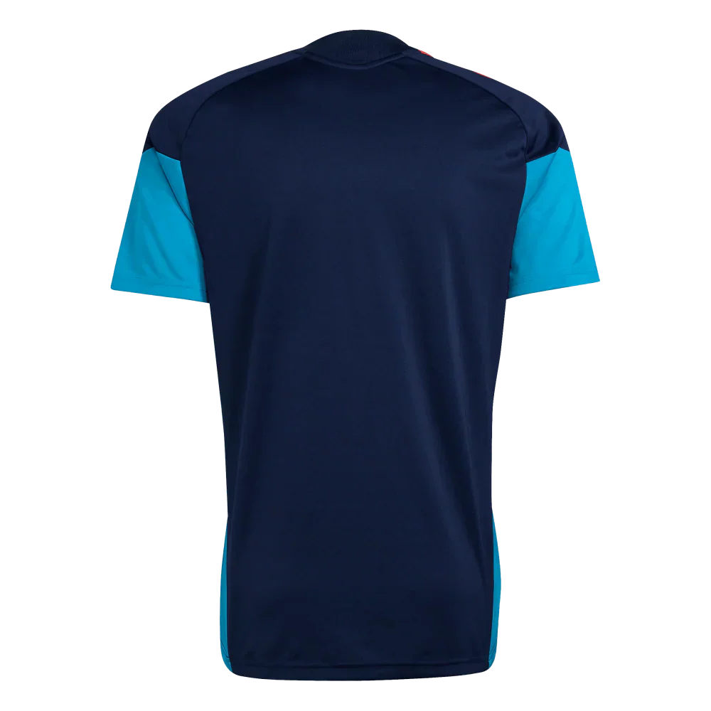 Jersey Espanha 2026 Training World Cup