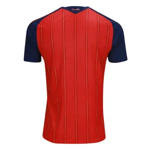 Spain 2026 World Cup Champions Home and Away Kit