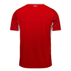 Switzerland 26/27 Home - Fan Version - image 2