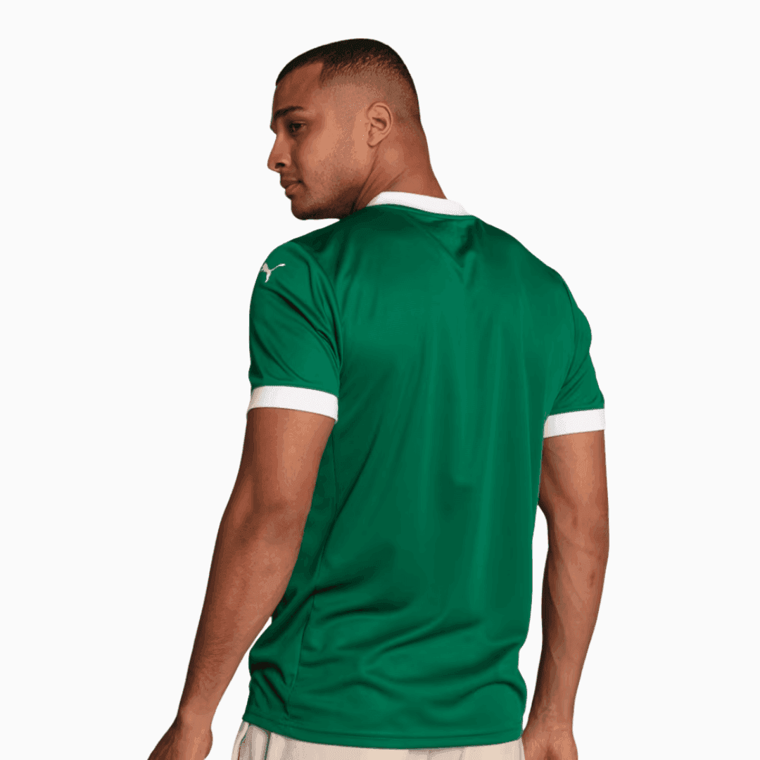 Jersey Puma Palmeiras 2025/26 I Fan