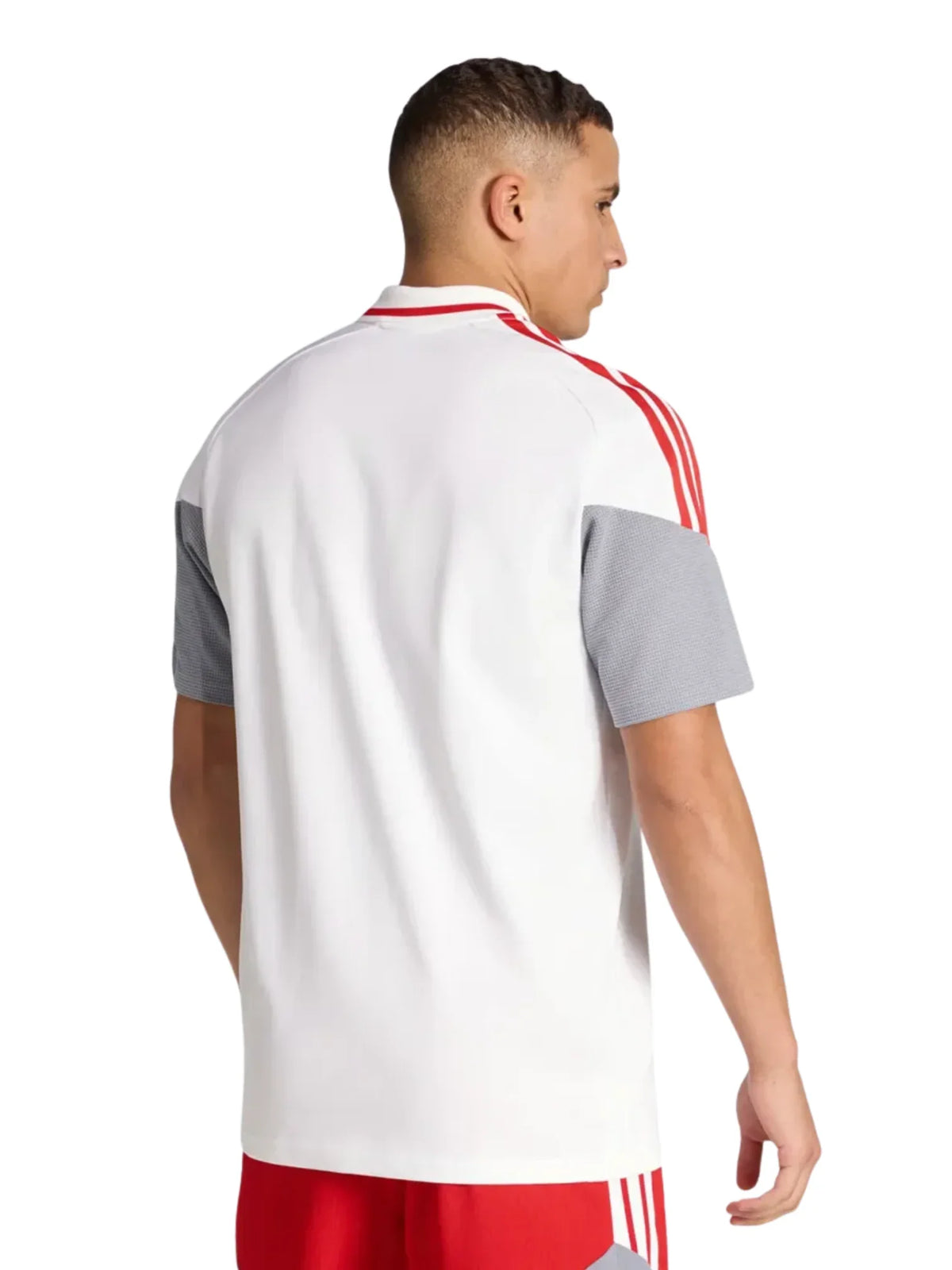 PRE-ORDER Internacional Training Polo 26/27