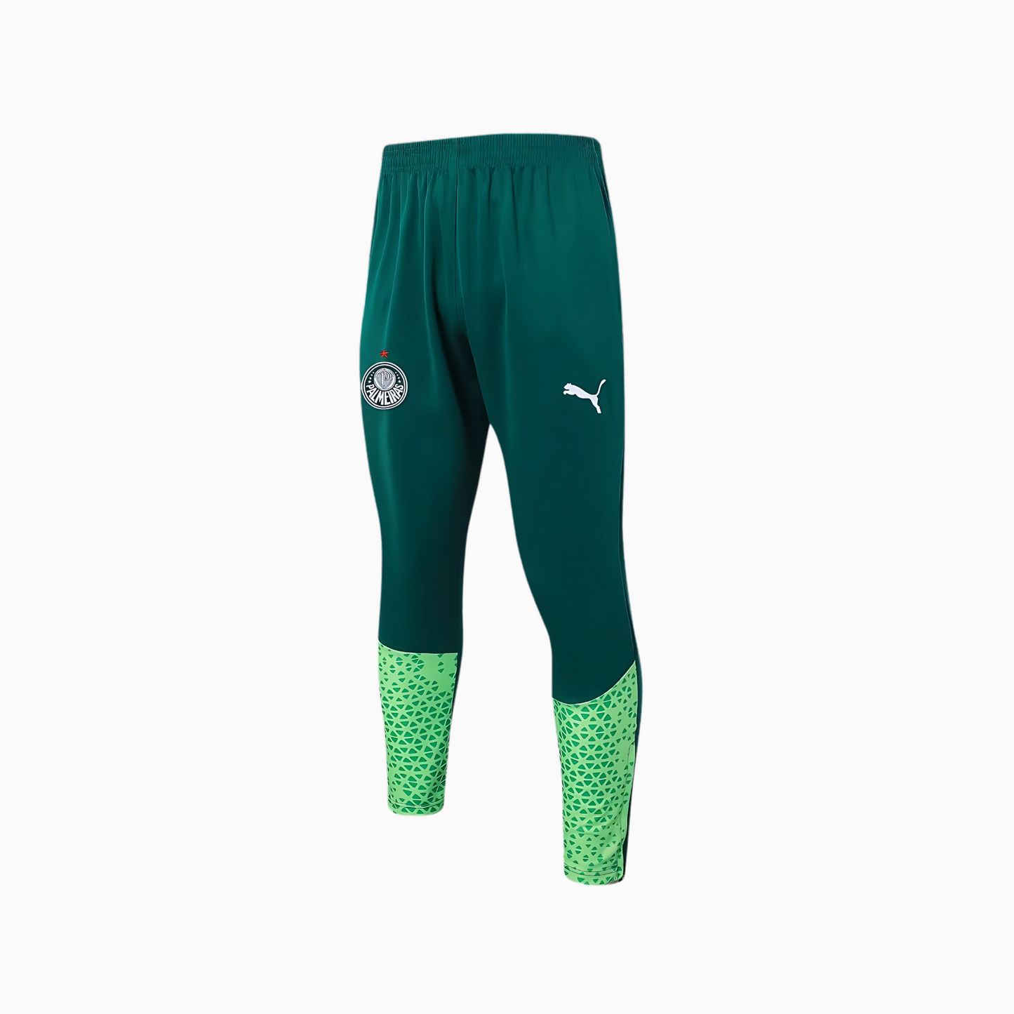 Set de Training Puma Palmeiras 2024/25 II Man
