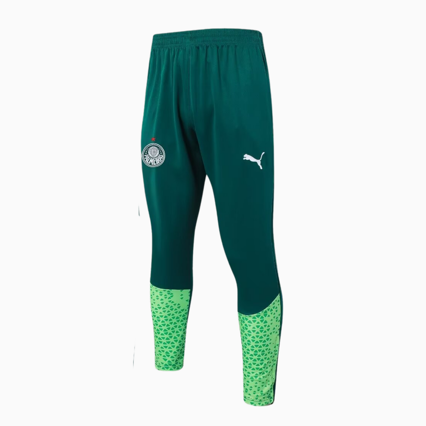 Set de Training Puma Palmeiras 2024/25 I Man
