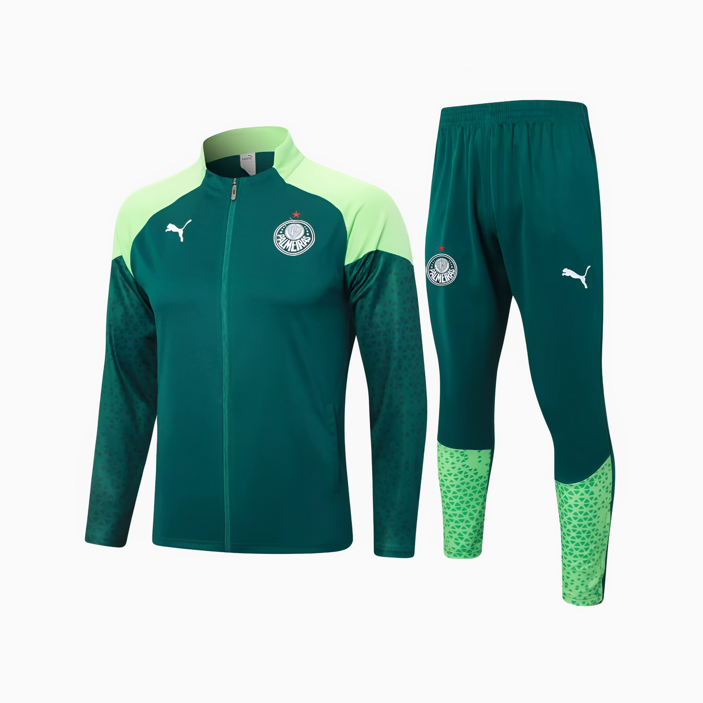 Set de Training Puma Palmeiras 2024/25 I Man