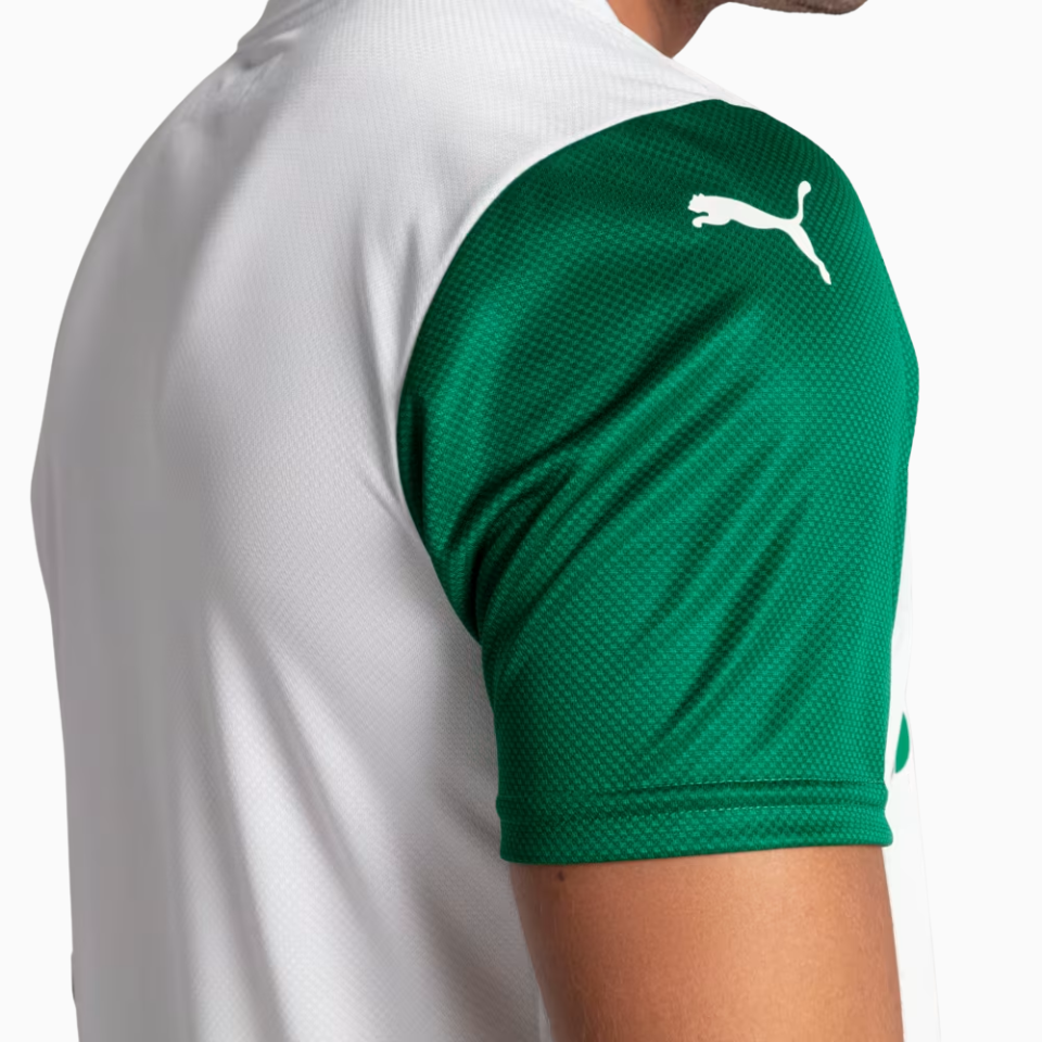 Jersey Puma Palmeiras 2025/26 II Player