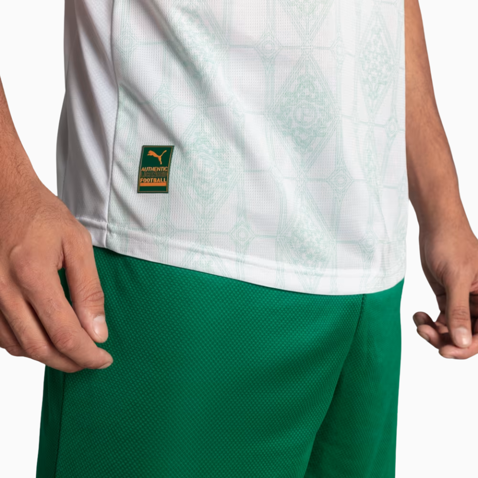 Jersey Puma Palmeiras 2025/26 II Player