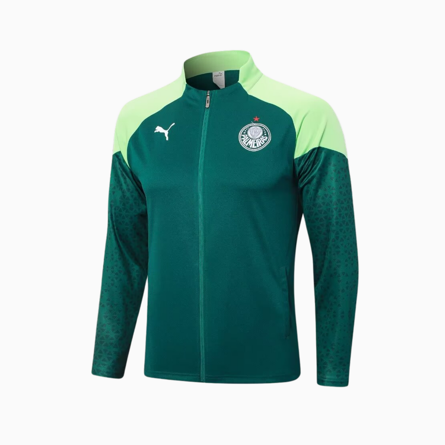 Set de Training Puma Palmeiras 2024/25 I Man