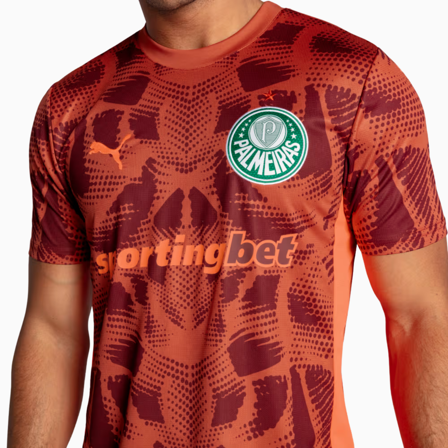 Jersey Puma Palmeiras 2025/26 Goalkeeper II