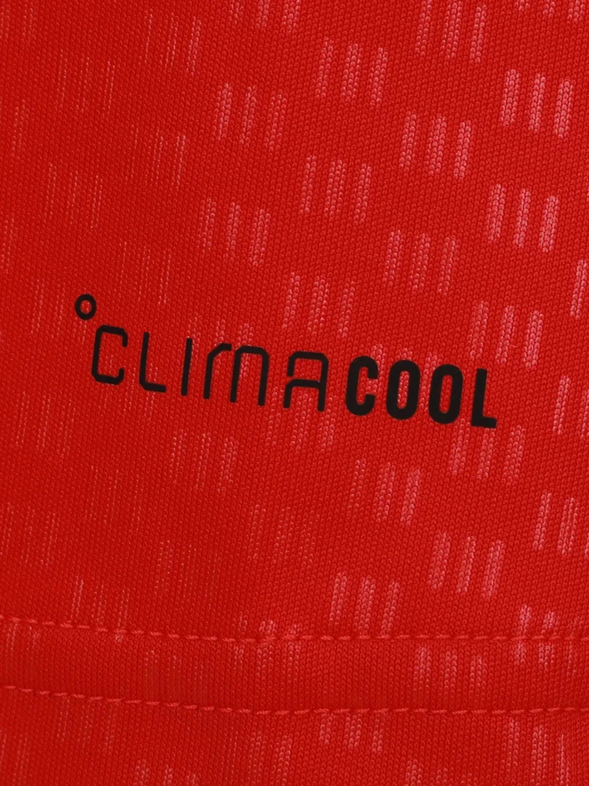 PRE-ORDER Internacional Training 26/27 - Woman's