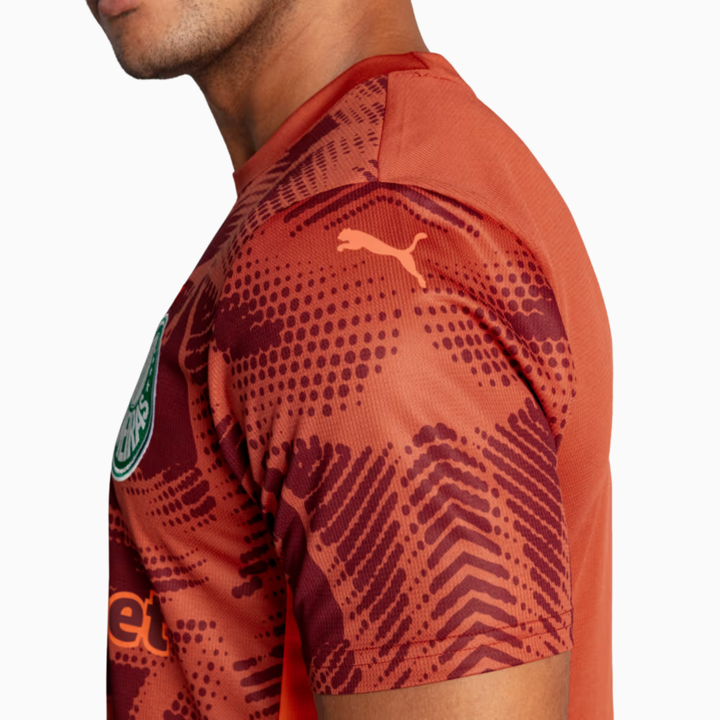 Jersey Puma Palmeiras 2025/26 Goalkeeper II