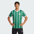 Maglia retrò Palmeiras 1993/94 I