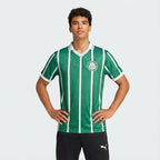 Maglia retrò Palmeiras 1993/94 I