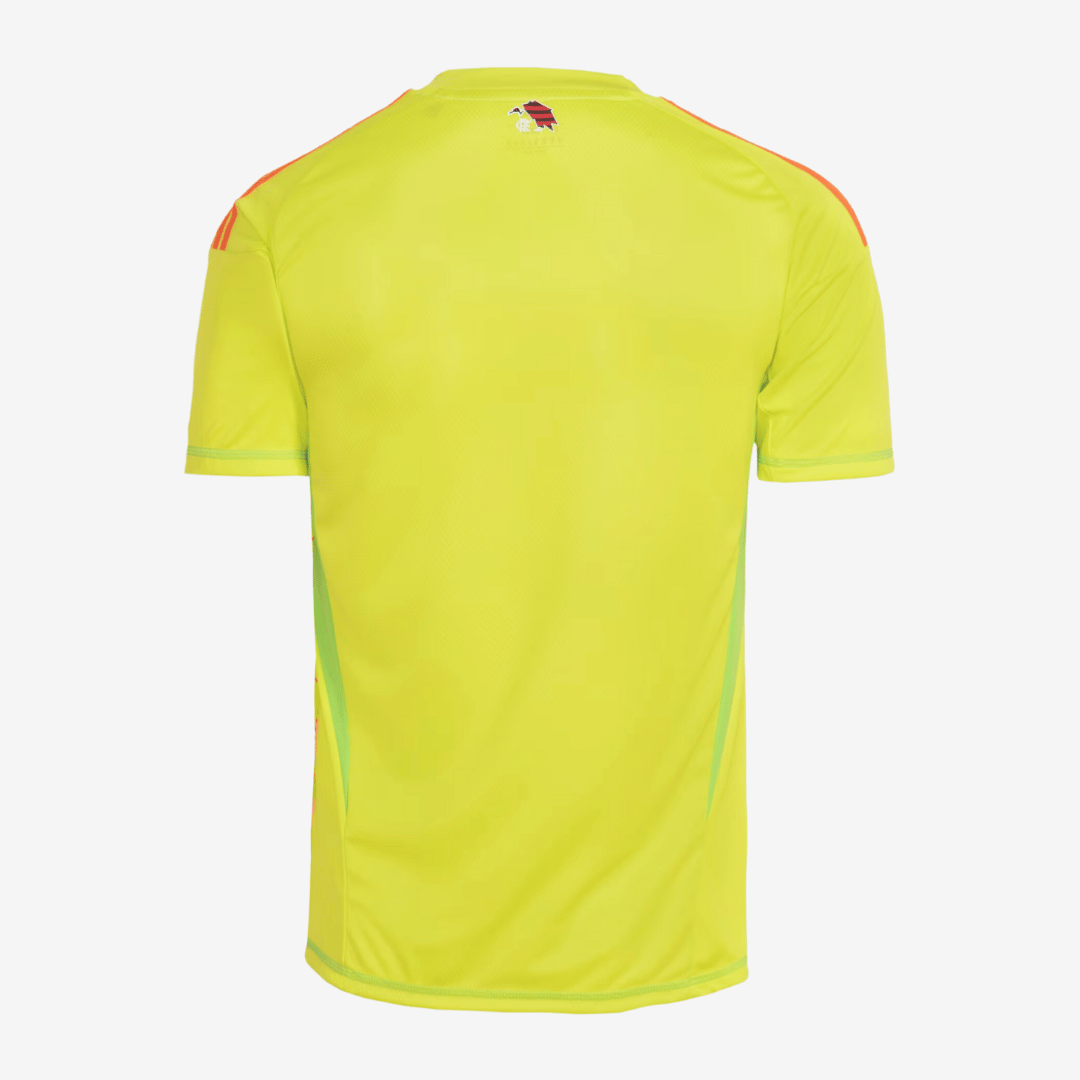 Jersey Adidas Flamengo 2025/26 I Goalkeeper