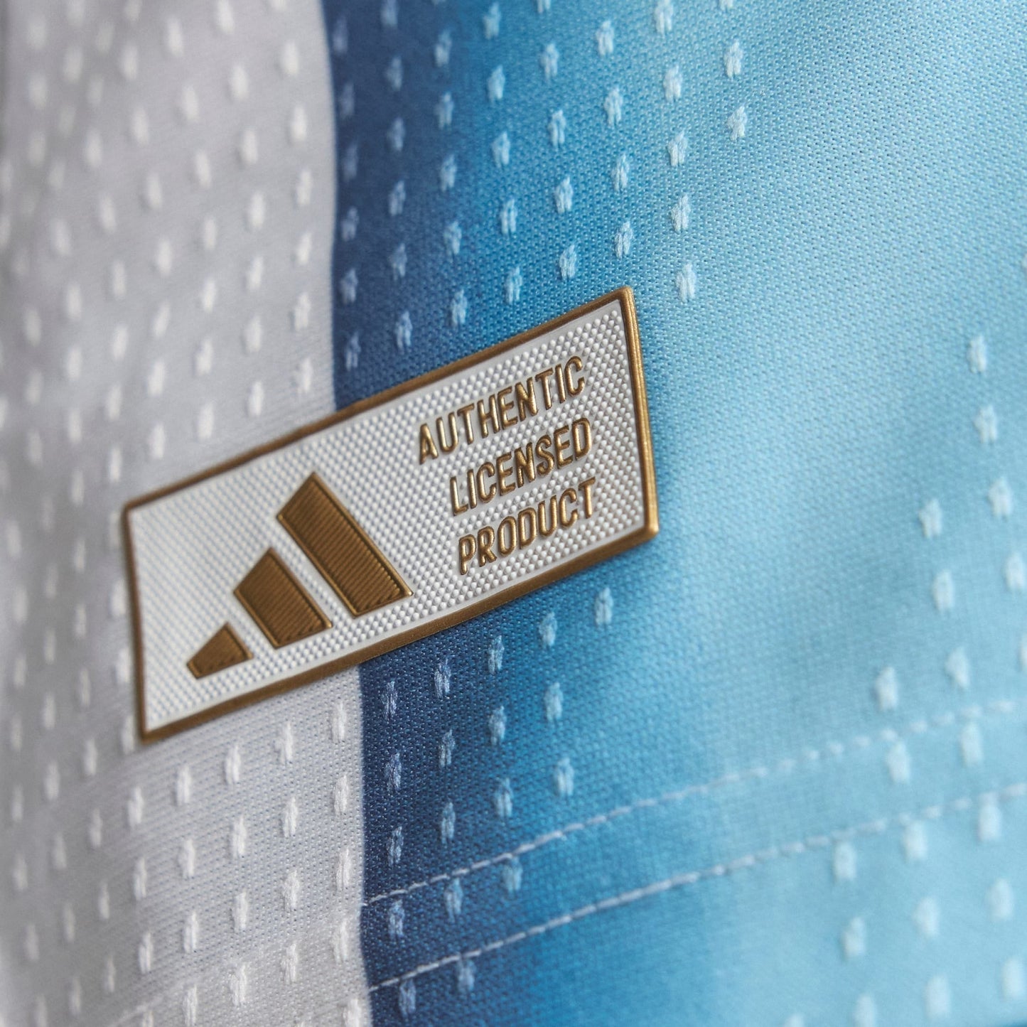 Argentina 2026 World Cup Home Men's Player Jersey