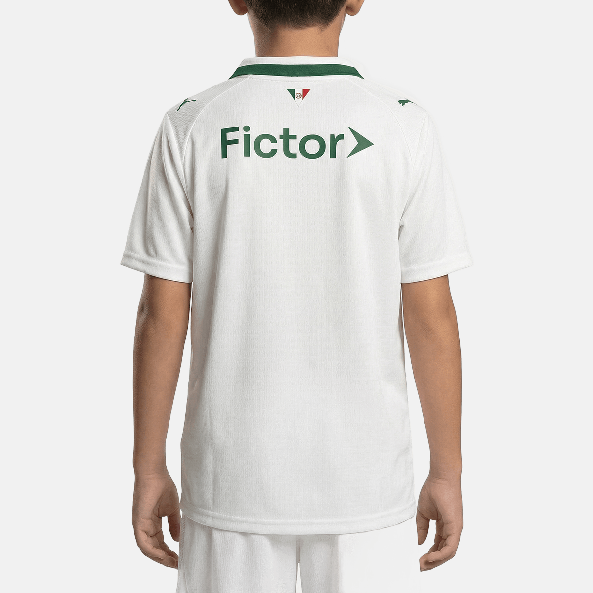 Kids Kit Puma Palmeiras 2026/27 II