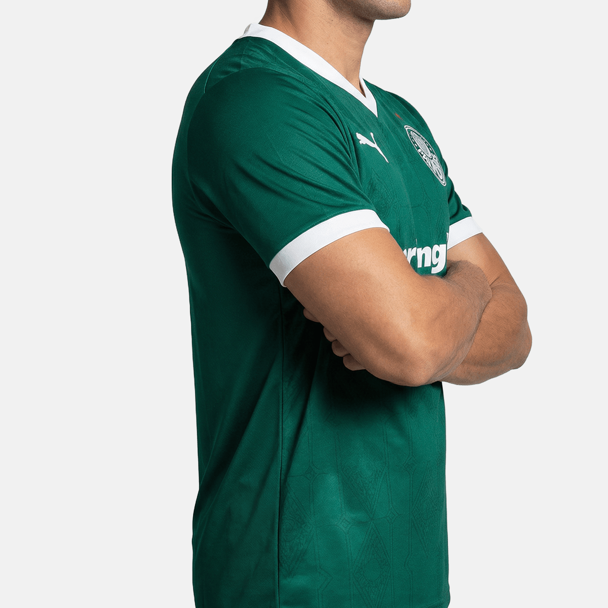 Jersey Puma Palmeiras 2025/26 I Player