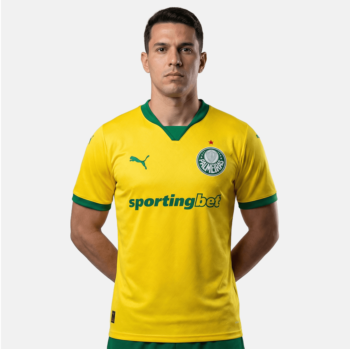 Jersey Puma Palmeiras 2025/26 III Fan