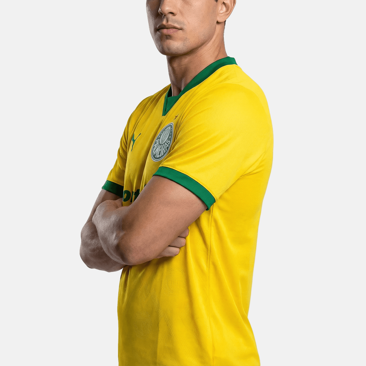 Jersey Puma Palmeiras 2025/26 III Fan