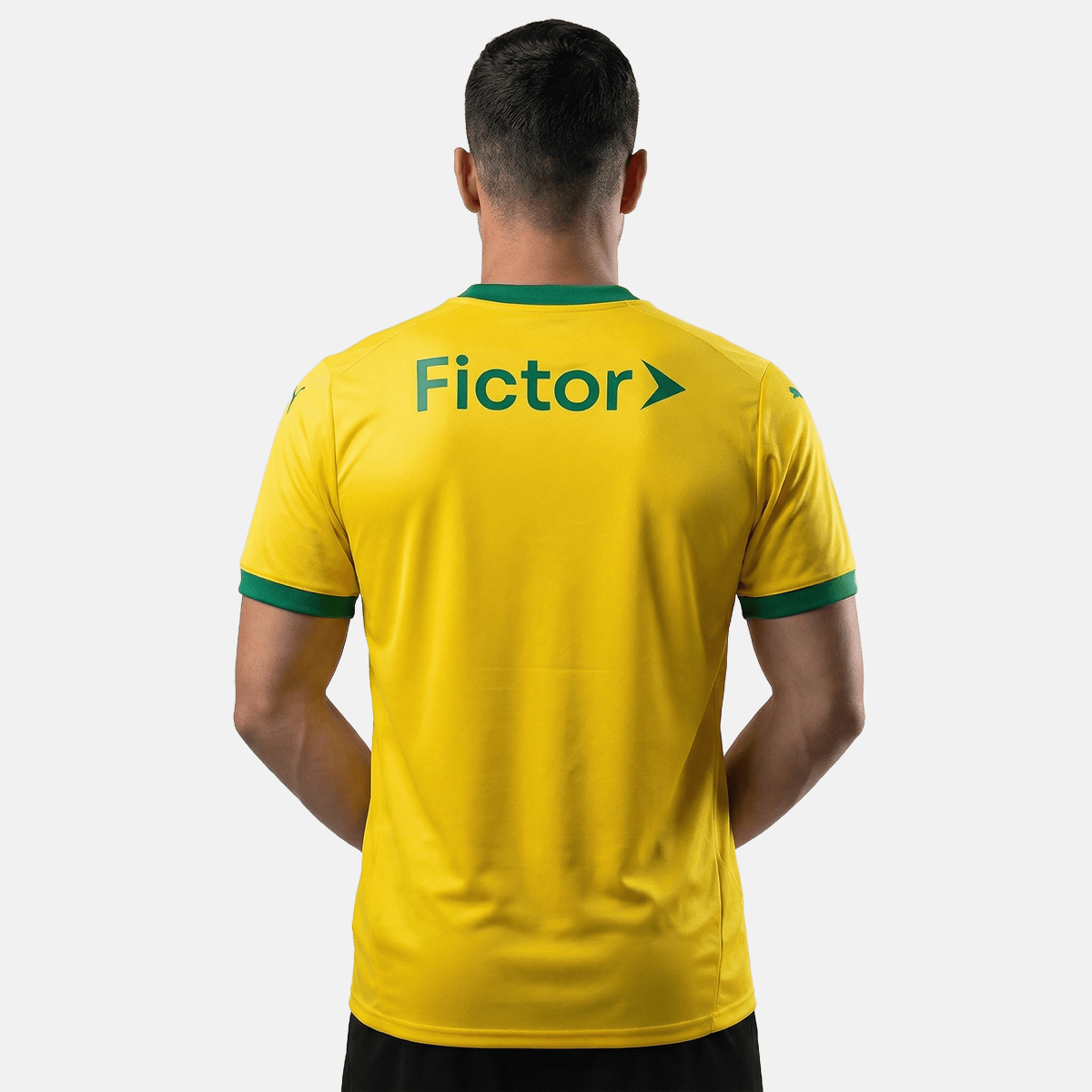 Jersey Puma Palmeiras 2025/26 III Fan
