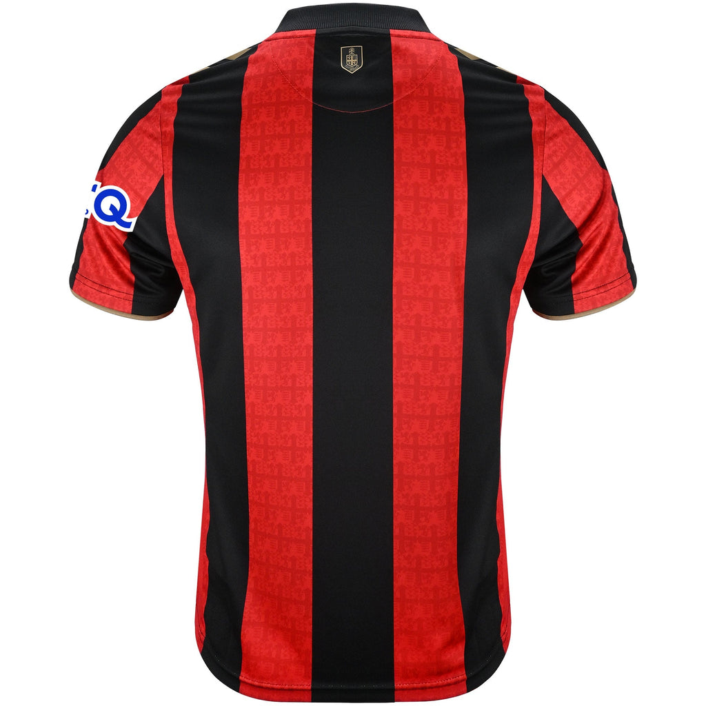 Bournemouth 26/27 Home - Fan Version