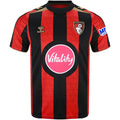 Bournemouth 26/27 Home - Fan Version