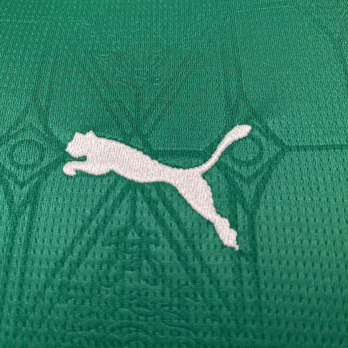 Palmeiras Kids 25/26 Home