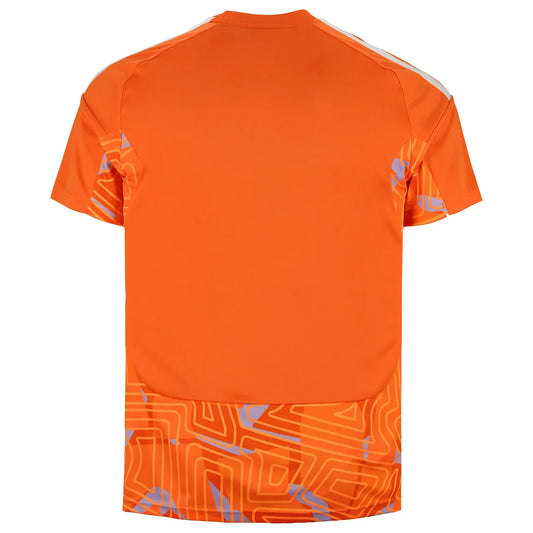 Juventus 26/27 Goalkeeper Home - Fan Version