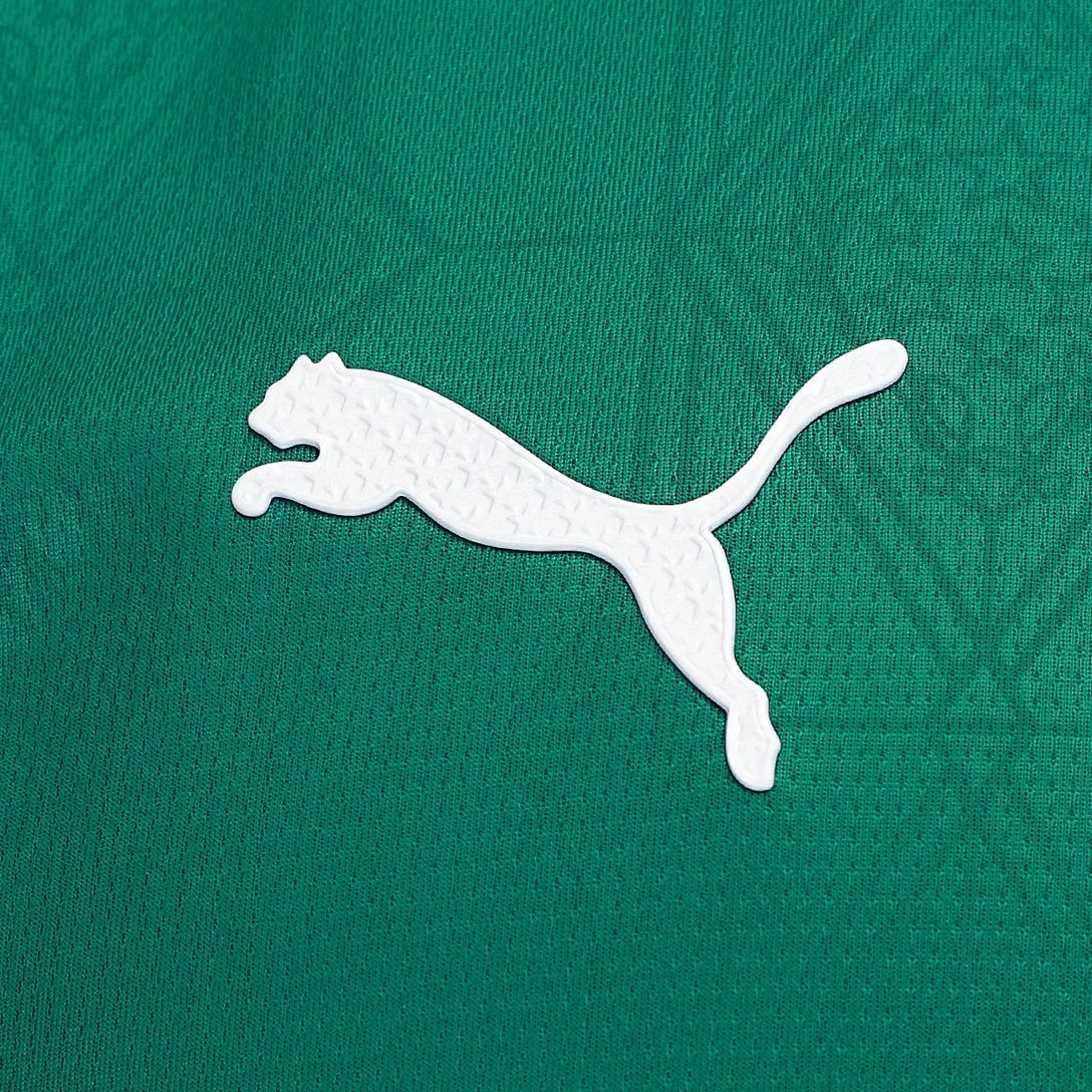 Palmeiras 25/26 I Home Jersey - Player Version