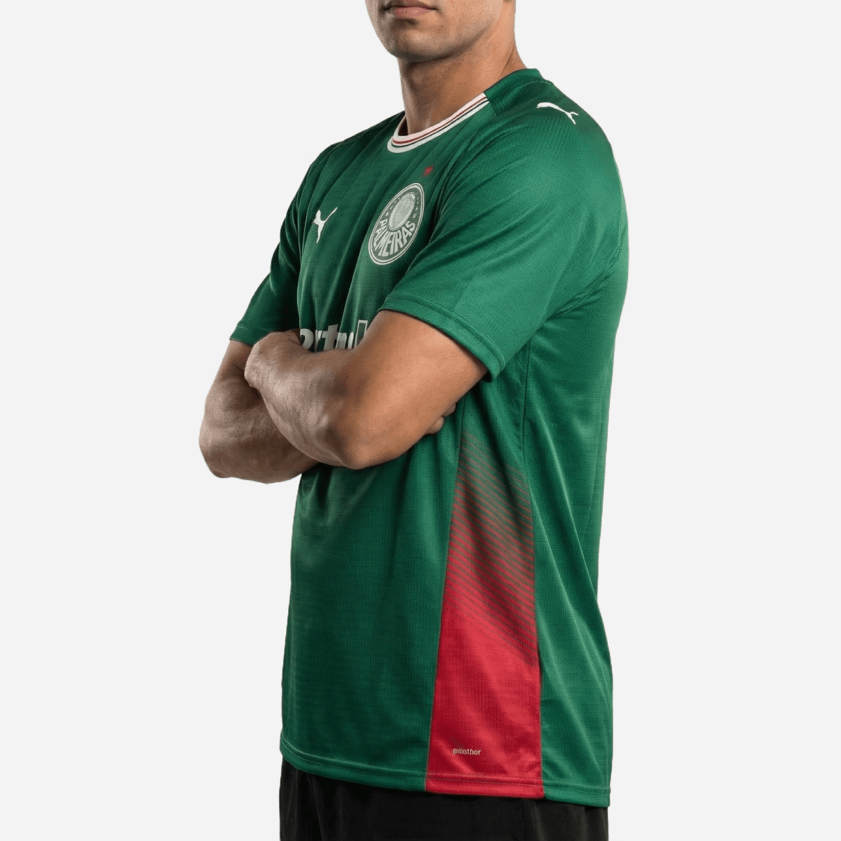 Jersey Puma Palmeiras 2026/27 I Fan