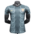 Barcelona 25/26 Sondertrikot – Grau – Spielerversion