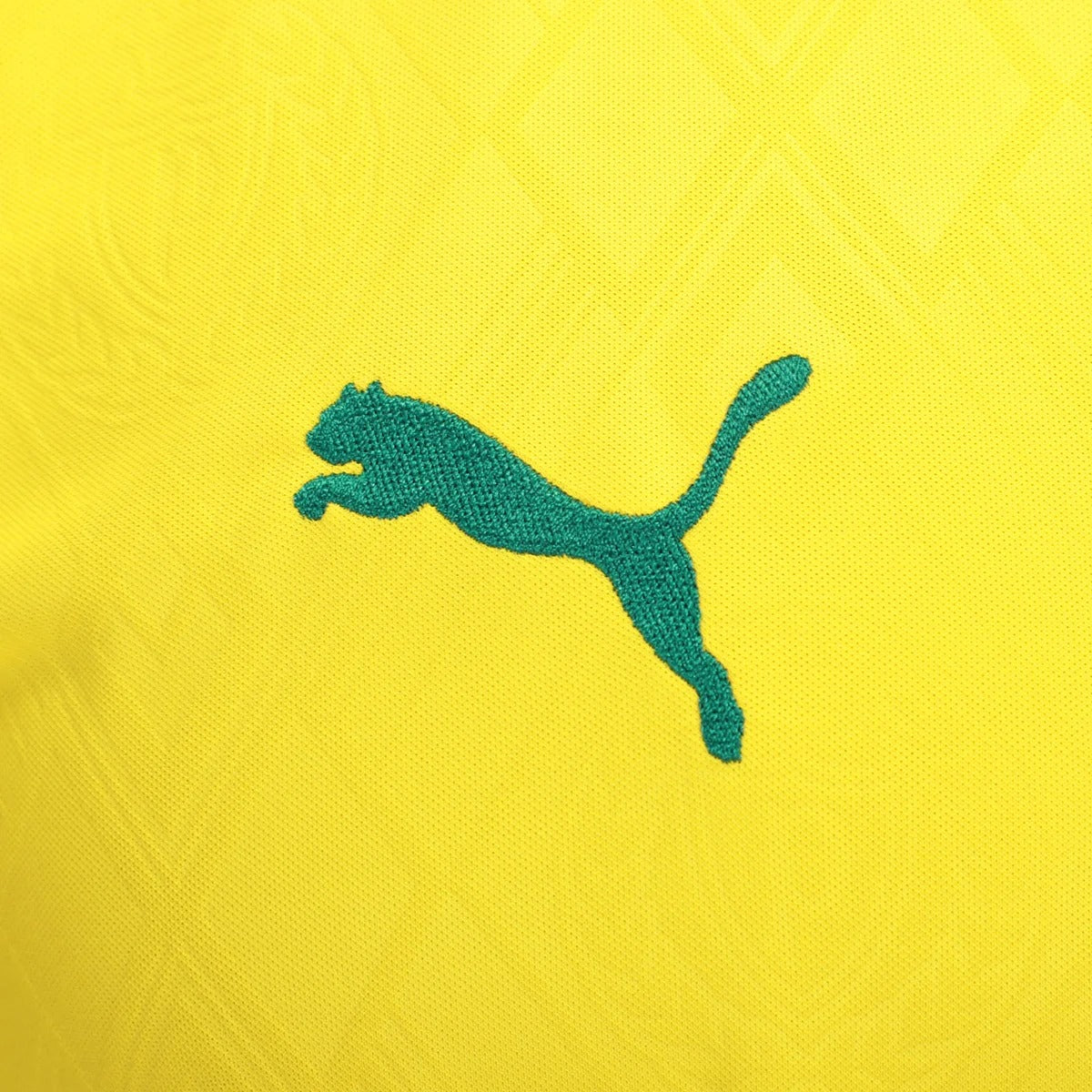 Jersey Puma Palmeiras 2025/26 III Fan