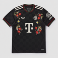 FC Bayern München 25/26 Ausweichtrikot mit Stickerei, Special Edition – Fan-Version